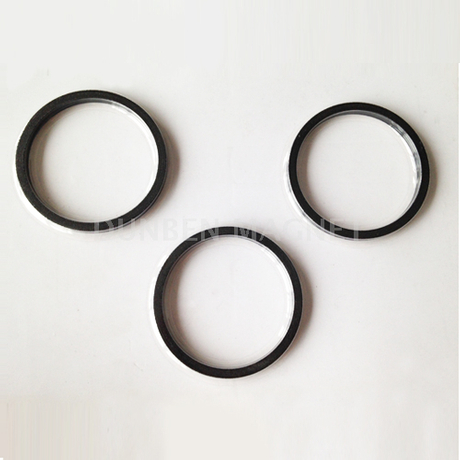  Multipole Ring Bonded Compression Molded NdFeB Magnets For Motors