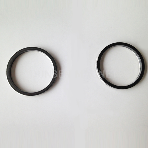  Multipole Ring Bonded Compression Molded NdFeB Magnets For Motors